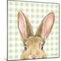 Garden Bunnies VII Green-Leslie Trimbach-Mounted Art Print