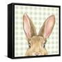 Garden Bunnies VII Green-Leslie Trimbach-Framed Stretched Canvas