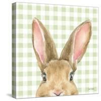 Garden Bunnies VII Green-Leslie Trimbach-Stretched Canvas