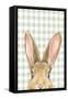 Garden Bunnies VII Green-Leslie Trimbach-Framed Stretched Canvas