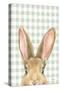 Garden Bunnies VII Green-Leslie Trimbach-Stretched Canvas