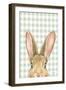 Garden Bunnies VII Green-Leslie Trimbach-Framed Art Print