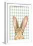 Garden Bunnies VII Green-Leslie Trimbach-Framed Art Print