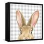 Garden Bunnies VII-Leslie Trimbach-Framed Stretched Canvas