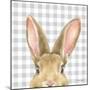 Garden Bunnies VII-Leslie Trimbach-Mounted Art Print