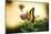 Garden Butterfly III-Philip Clayton-thompson-Mounted Photographic Print