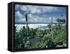 Garden by the Atlantic Ocean, El Golfo, Lanzarote, Canary Islands, Spain, Europe-Jean Brooks-Framed Stretched Canvas