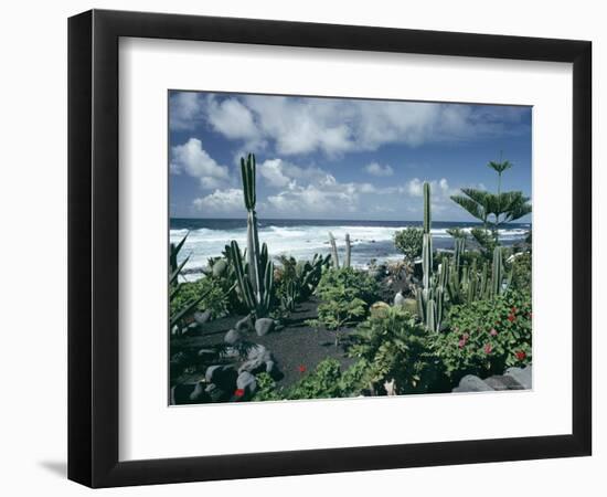 Garden by the Atlantic Ocean, El Golfo, Lanzarote, Canary Islands, Spain, Europe-Jean Brooks-Framed Photographic Print