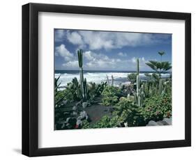 Garden by the Atlantic Ocean, El Golfo, Lanzarote, Canary Islands, Spain, Europe-Jean Brooks-Framed Photographic Print