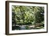 Garden by the Sea II-Alan Hausenflock-Framed Photographic Print