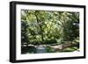 Garden by the Sea II-Alan Hausenflock-Framed Photographic Print