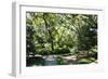 Garden by the Sea II-Alan Hausenflock-Framed Photographic Print