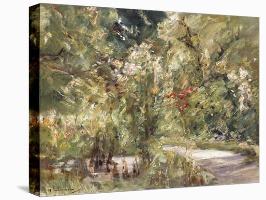 Garden by the Wansee; Wanseegarten, C.1928-39-Max Liebermann-Stretched Canvas