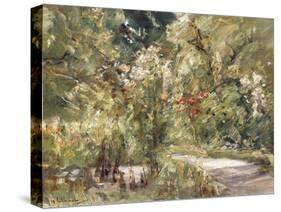 Garden by the Wansee; Wanseegarten, C.1928-39-Max Liebermann-Stretched Canvas