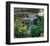 Garden Cascade-null-Framed Art Print