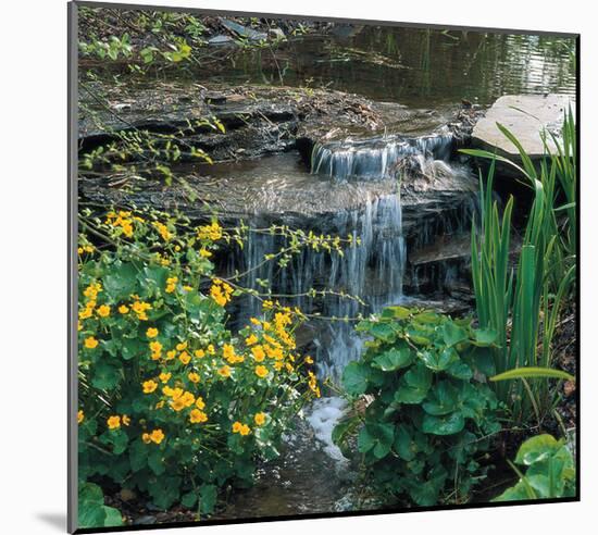 Garden Cascade-null-Mounted Art Print