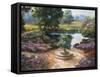 Garden Centerpiece-Nenad Mirkovich-Framed Stretched Canvas