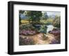 Garden Centerpiece-Nenad Mirkovich-Framed Art Print