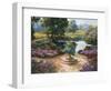 Garden Centerpiece-Nenad Mirkovich-Framed Art Print