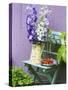 Garden Chair with Delphiniums and Plate of Strawberries-Linda Burgess-Stretched Canvas