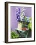 Garden Chair with Delphiniums and Plate of Strawberries-Linda Burgess-Framed Premium Photographic Print