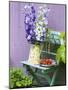 Garden Chair with Delphiniums and Plate of Strawberries-Linda Burgess-Mounted Premium Photographic Print