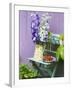 Garden Chair with Delphiniums and Plate of Strawberries-Linda Burgess-Framed Photographic Print