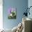 Garden Chair with Delphiniums and Plate of Strawberries-Linda Burgess-Mounted Photographic Print displayed on a wall