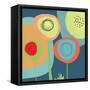 Garden Circles-Jan Weiss-Framed Stretched Canvas