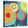 Garden Circles-Jan Weiss-Stretched Canvas