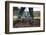 Garden Claw-Fact-Framed Photographic Print