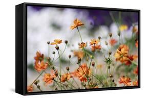 Garden Conversations-Incredi-Framed Stretched Canvas