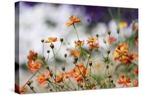 Garden Conversations-Incredi-Stretched Canvas