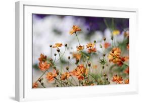 Garden Conversations-Incredi-Framed Photographic Print