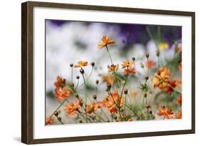 Garden Conversations-Incredi-Framed Photographic Print