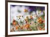 Garden Conversations-Incredi-Framed Photographic Print