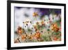 Garden Conversations-Incredi-Framed Photographic Print