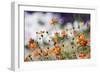 Garden Conversations-Incredi-Framed Photographic Print