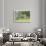 Garden Corner-Allan Myndzak-Giclee Print displayed on a wall