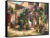 Garden Courtyard-Art Fronckowiak-Framed Stretched Canvas