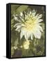 Garden Dahlias VII-George Johnson-Framed Stretched Canvas