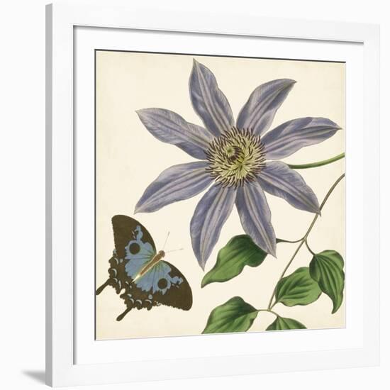 Garden Delight I-null-Framed Art Print