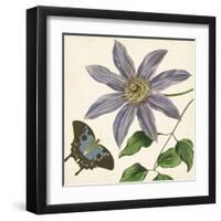 Garden Delight I-null-Framed Art Print