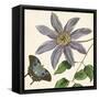 Garden Delight I-null-Framed Stretched Canvas