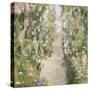 Garden Delight - Lane-Tania Bello-Stretched Canvas