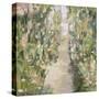 Garden Delight - Lane-Tania Bello-Stretched Canvas