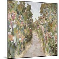 Garden Delight - Path-Tania Bello-Mounted Giclee Print
