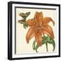 Garden Delight V-null-Framed Art Print