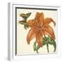 Garden Delight V-null-Framed Art Print