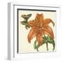 Garden Delight V-null-Framed Art Print